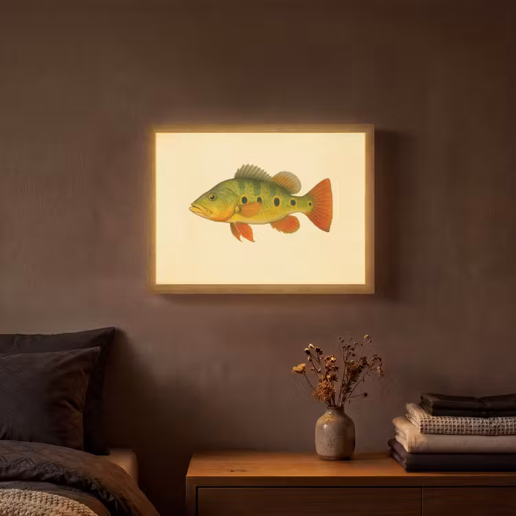 Schubben - Vis - Groen - Illustratie Light Box met batterij (Wandlamp) middel -sfeer4