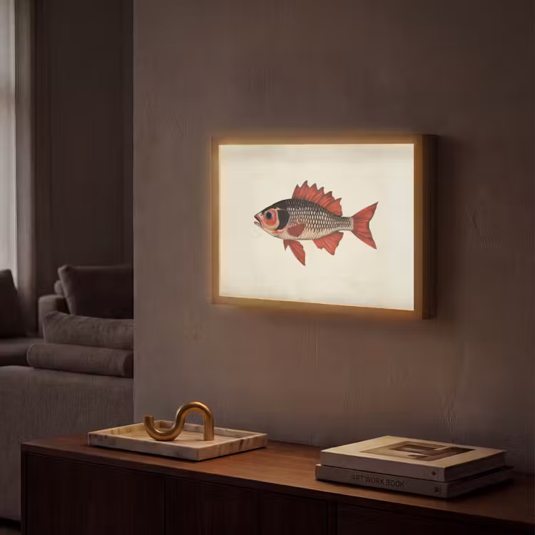 Schubben - Rood - Vis - Vinnen Light Box met batterij (Wandlamp) middel -sfeer1