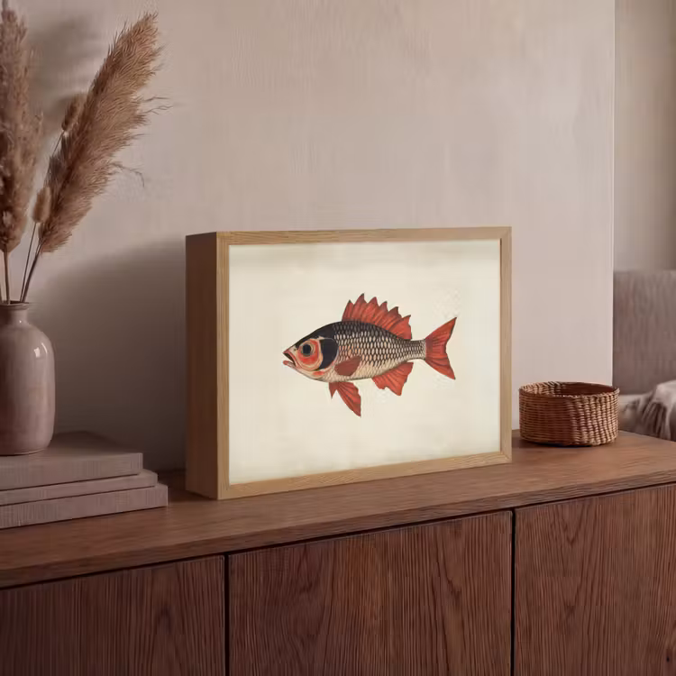Schubben - Rood - Vis - Vinnen Light Box met batterij (Wandlamp) middel -sfeer2