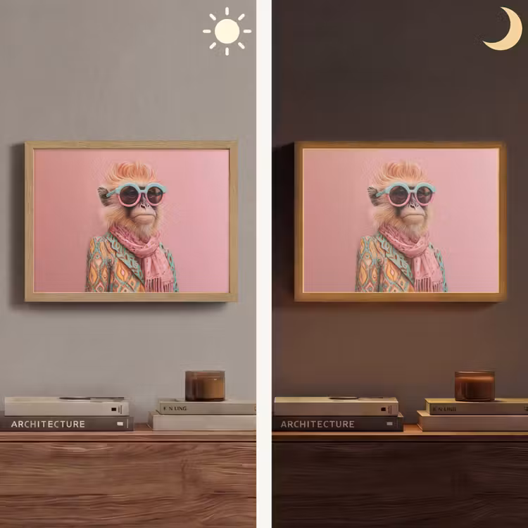 Sjaal - Aap - Zonnebril - Jasje Light Box met batterij (Wandlamp) middel -sfeer3