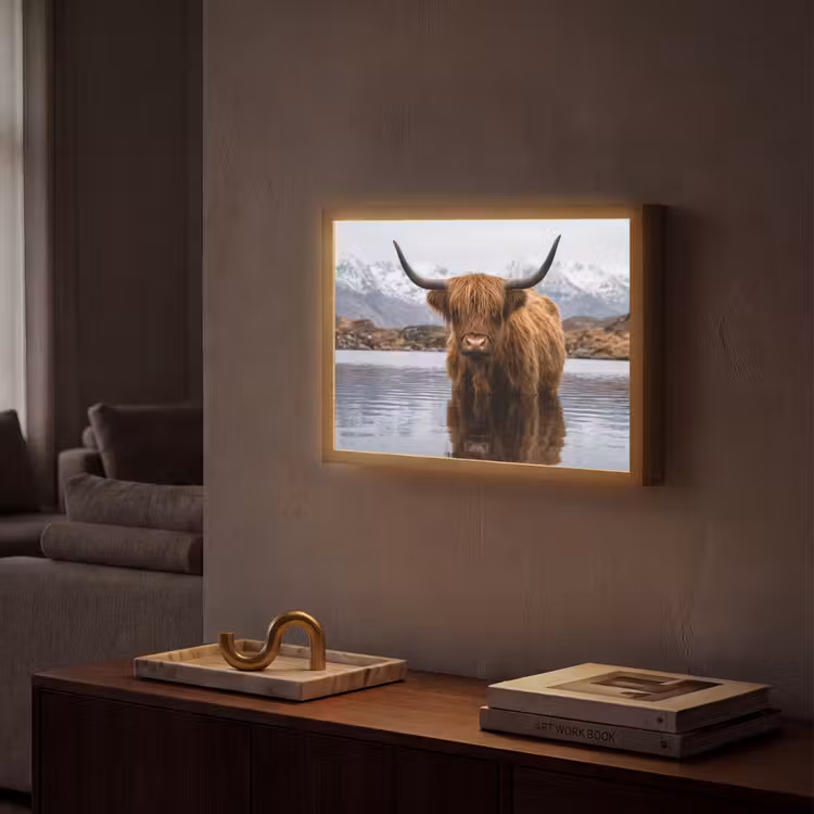 Schotse hooglander - Bruin - Water Light Box met batterij (Wandlamp) middel -sfeer1