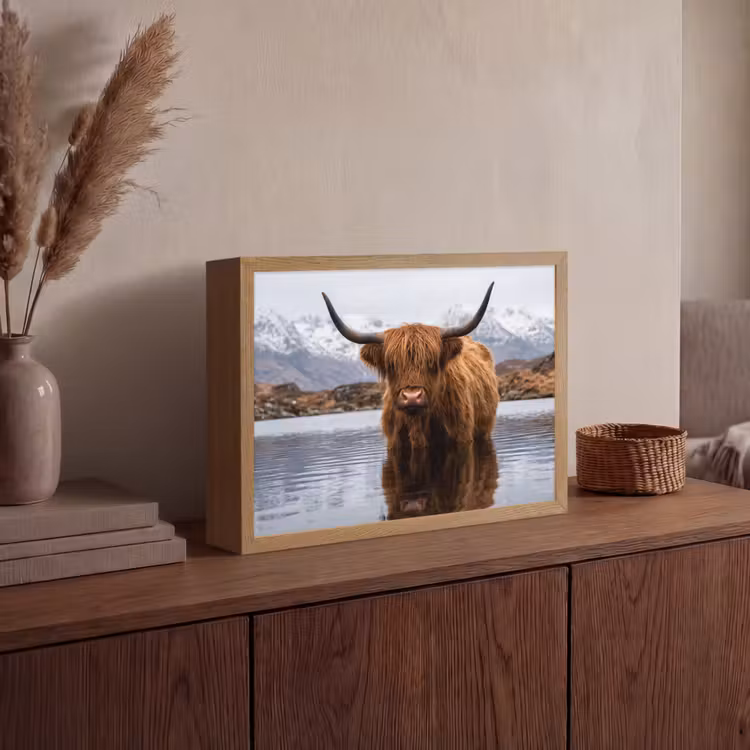 Schotse hooglander - Bruin - Water Light Box met batterij (Wandlamp) middel -sfeer2