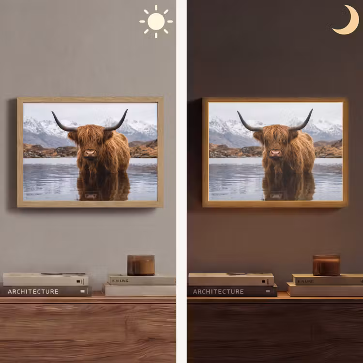 Schotse hooglander - Bruin - Water Light Box met batterij (Wandlamp) middel -sfeer3