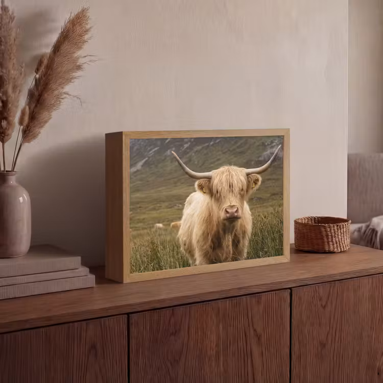 Schotse hooglander - Bergen - Grasveld Light Box met batterij (Wandlamp) middel -sfeer2