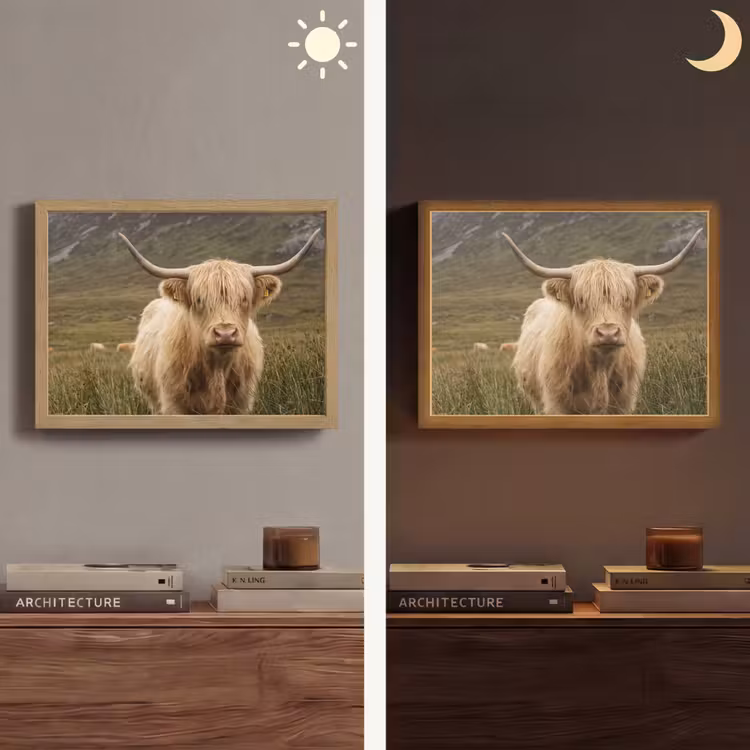 Schotse hooglander - Bergen - Grasveld Light Box met batterij (Wandlamp) middel -sfeer3