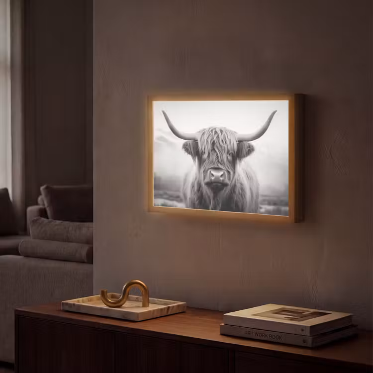 Schotse hooglander - Dieren portret - Zwart - Wit - Dier Light Box met batterij (Wandlamp) middel -sfeer1