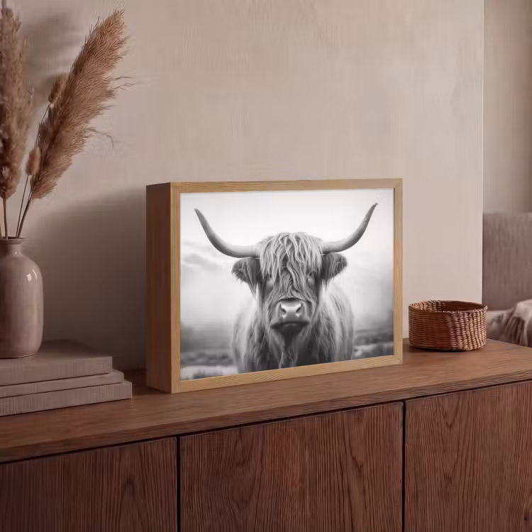 Schotse hooglander - Dieren portret - Zwart - Wit - Dier Light Box met batterij (Wandlamp) middel -sfeer2