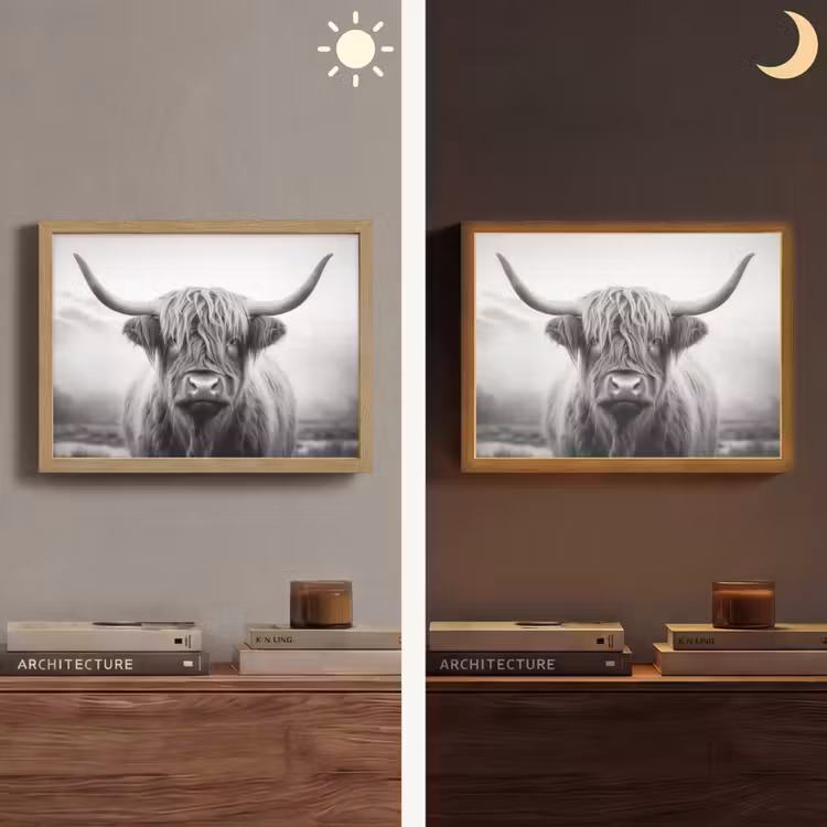 Schotse hooglander - Dieren portret - Zwart - Wit - Dier Light Box met batterij (Wandlamp) middel -sfeer3