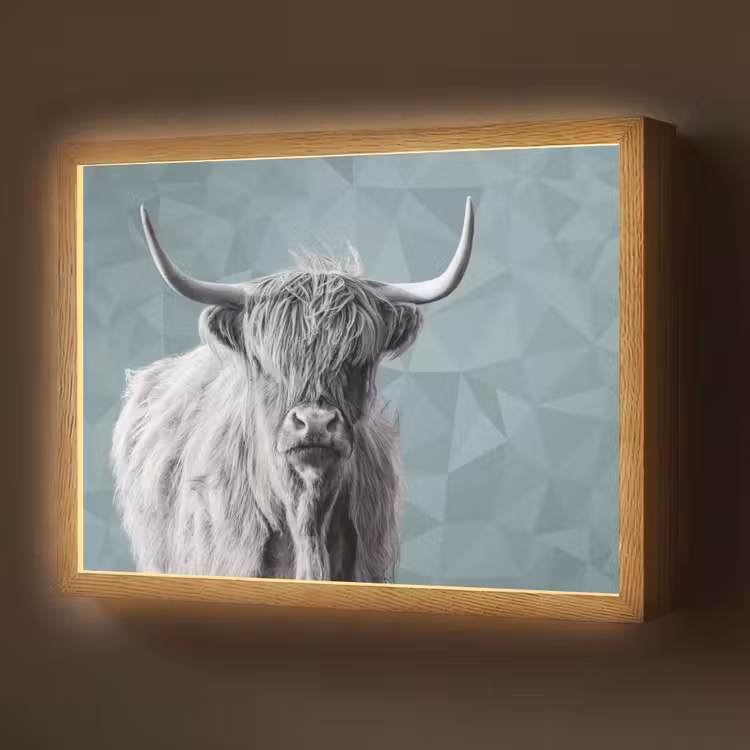 Schotse hooglander - Zwart wit - Patroon - Driehoek Light Box met batterij (Wandlamp) middel -z3d_website