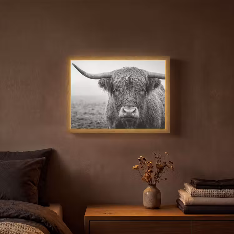 Schotse hooglander - Zwart - Wit - Gras Light Box met batterij (Wandlamp) middel -sfeer4