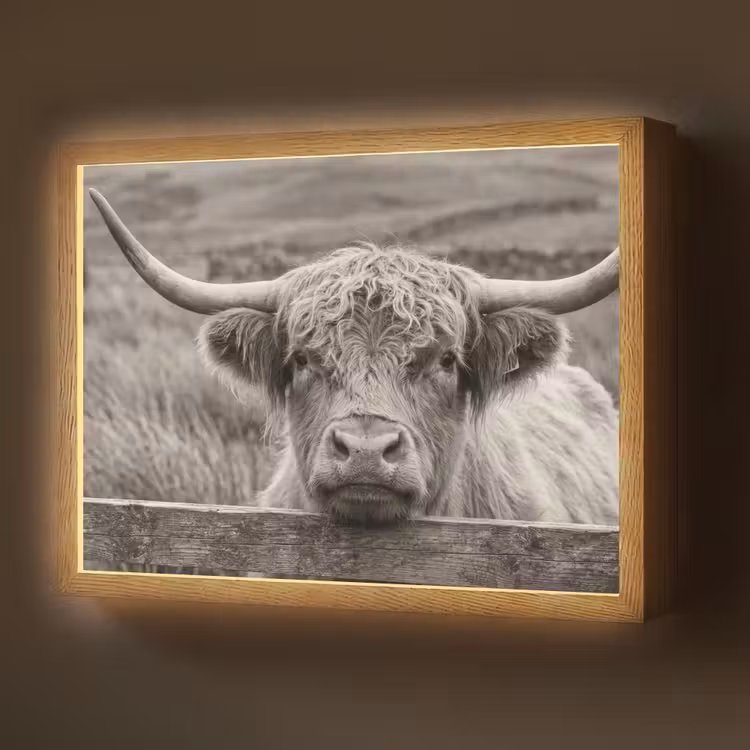 Schotse hooglander - Zwart - Wit - Hout Light Box met batterij (Wandlamp) middel -z3d_website