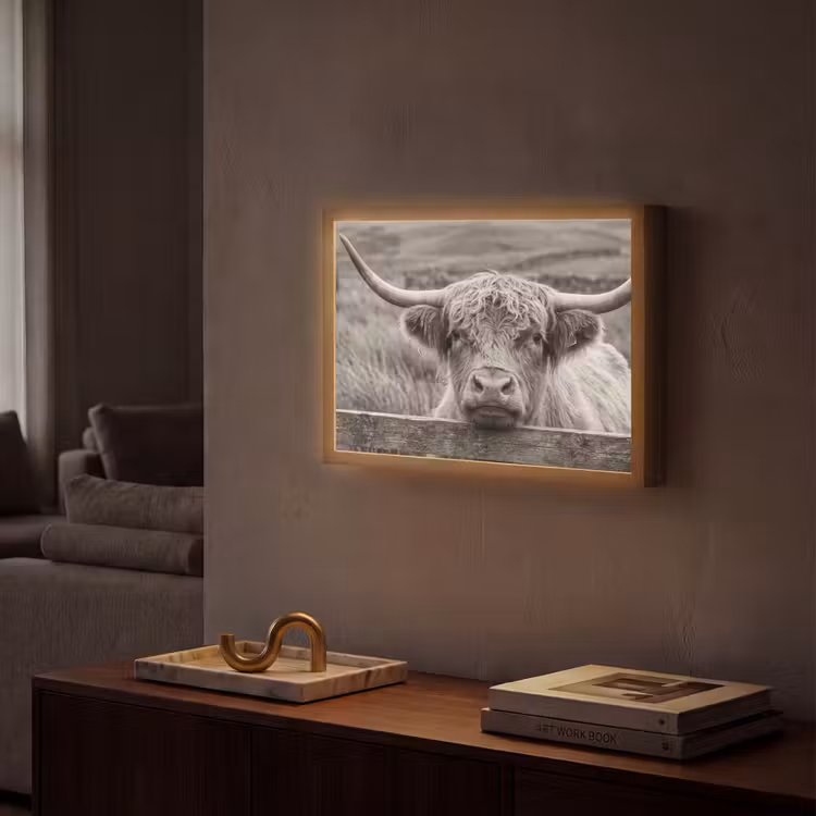 Schotse hooglander - Zwart - Wit - Hout Light Box met batterij (Wandlamp) middel -sfeer1