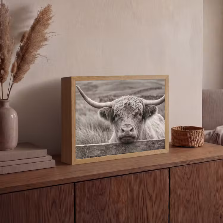 Schotse hooglander - Zwart - Wit - Hout Light Box met batterij (Wandlamp) middel -sfeer2