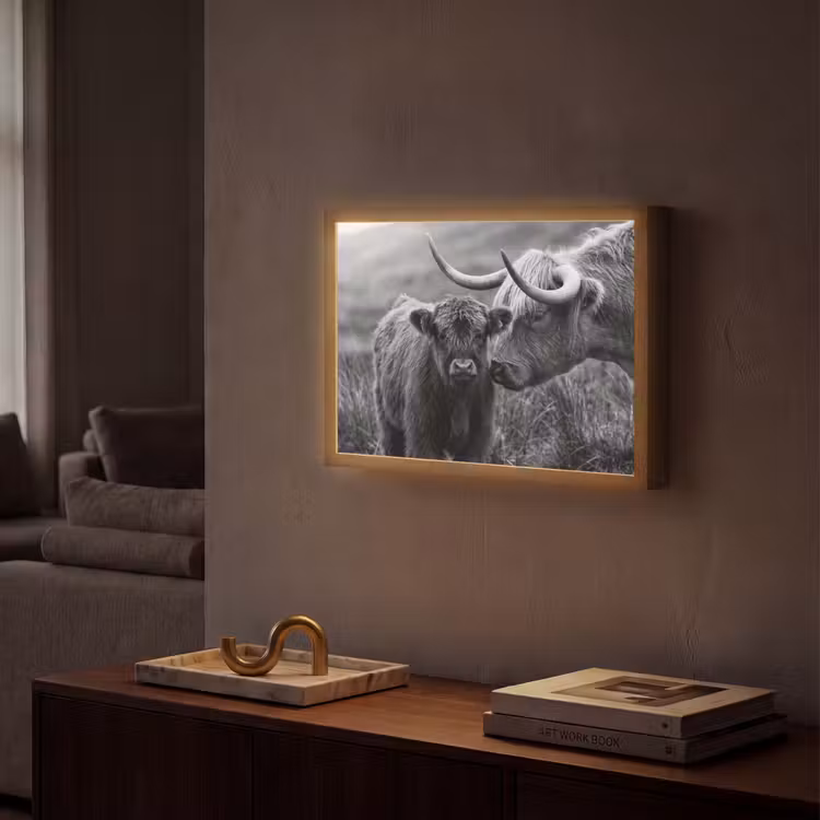 Schotse hooglander - Kalf - Zwart - Wit Light Box met batterij (Wandlamp) middel -sfeer1