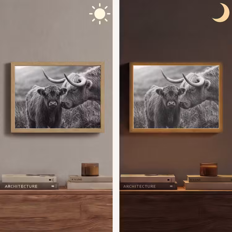 Schotse hooglander - Kalf - Zwart - Wit Light Box met batterij (Wandlamp) middel -sfeer3
