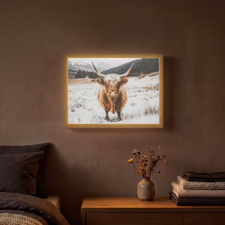 Schotse Hooglander - Landschap - Sneeuw - Bergen - Winter Light Box met batterij (Wandlamp) middel -sfeer4