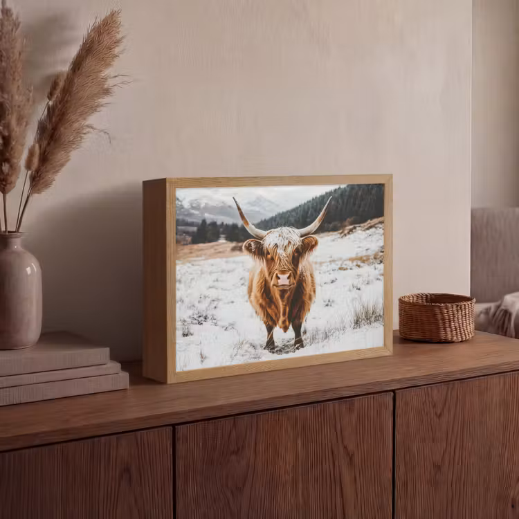 Schotse Hooglander - Landschap - Sneeuw - Bergen - Winter Light Box met batterij (Wandlamp) middel -sfeer2