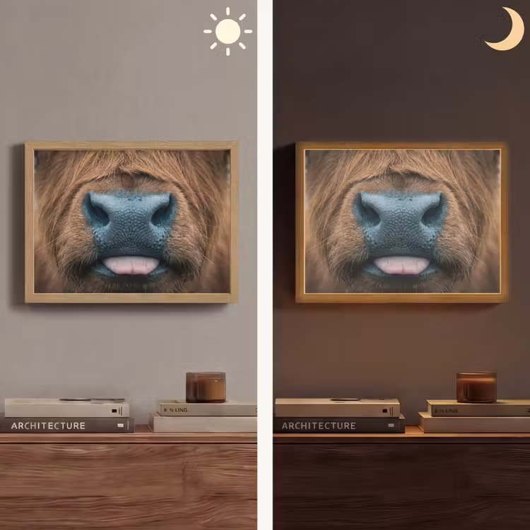 Schotse hooglander - Neus - Bruin Light Box met batterij (Wandlamp) middel -sfeer3