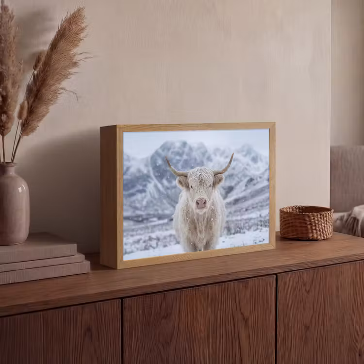 Schotse Hooglander - Sneeuw - Bergen - Winter Light Box met batterij (Wandlamp) middel -sfeer2