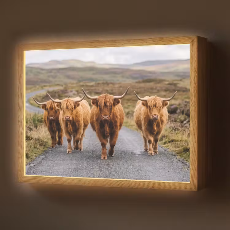 Schotse Hooglanders - Weg - Landschap - Kudde Light Box met batterij (Wandlamp) middel -z3d_website