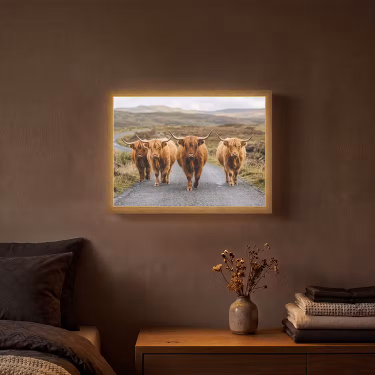 Schotse Hooglanders - Weg - Landschap - Kudde Light Box met batterij (Wandlamp) middel -sfeer4