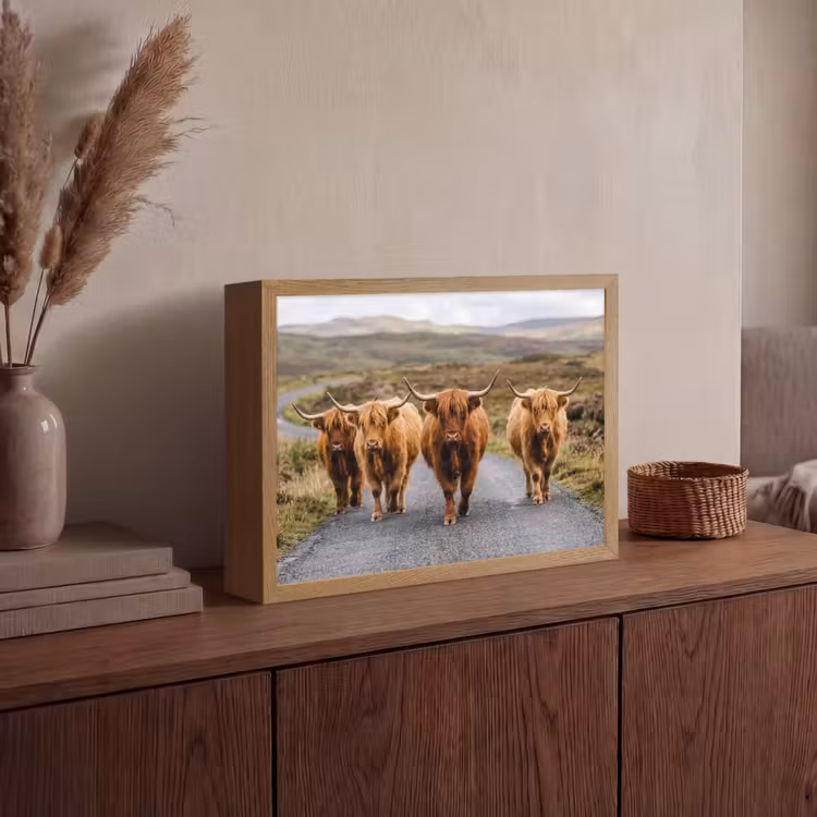 Schotse Hooglanders - Weg - Landschap - Kudde Light Box met batterij (Wandlamp) middel -sfeer2