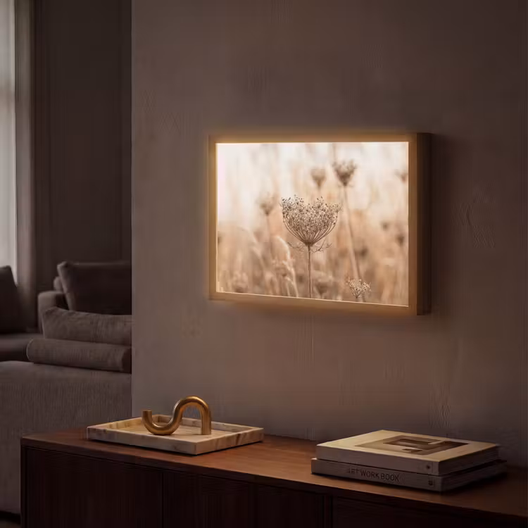 Schermbloem - Droogbloem - Winter - Beige - Minimalistisch Light Box met batterij (Wandlamp) middel -sfeer1