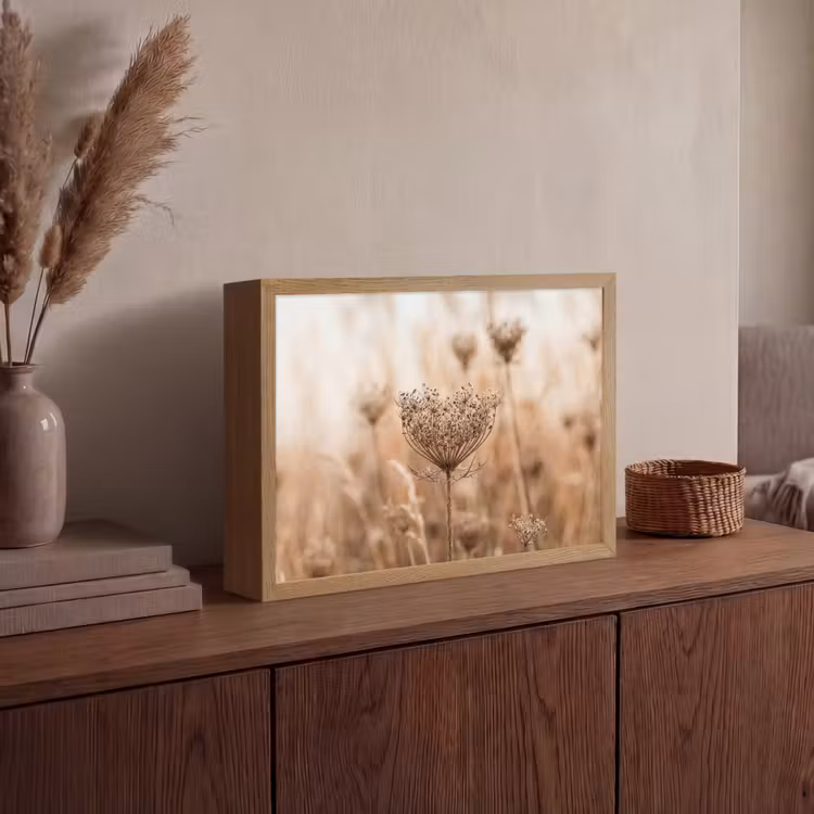 Schermbloem - Droogbloem - Winter - Beige - Minimalistisch Light Box met batterij (Wandlamp) middel -sfeer2