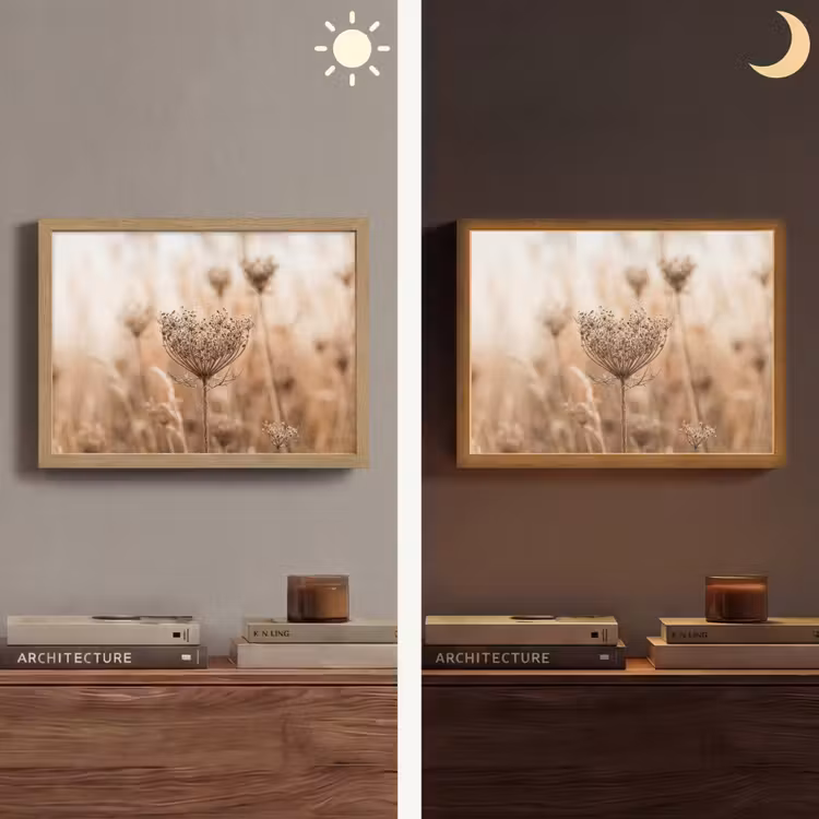 Schermbloem - Droogbloem - Winter - Beige - Minimalistisch Light Box met batterij (Wandlamp) middel -sfeer3