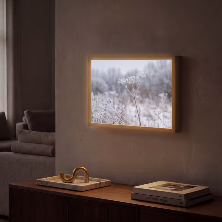 Schermbloem - Rijp - Kristallen - Winter - Delicaat Light Box met batterij (Wandlamp) middel -sfeer1