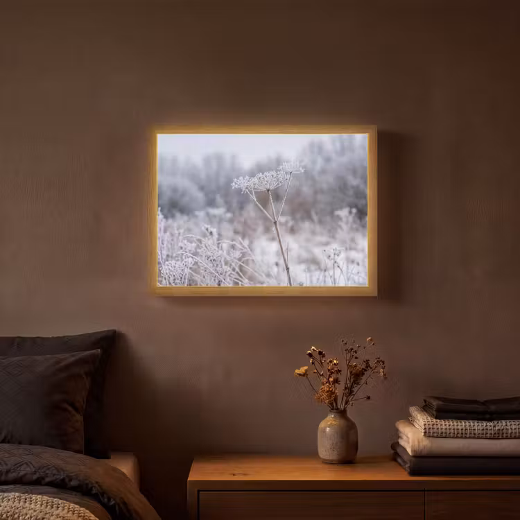 Schermbloem - Rijp - Kristallen - Winter - Delicaat Light Box met batterij (Wandlamp) middel -sfeer4