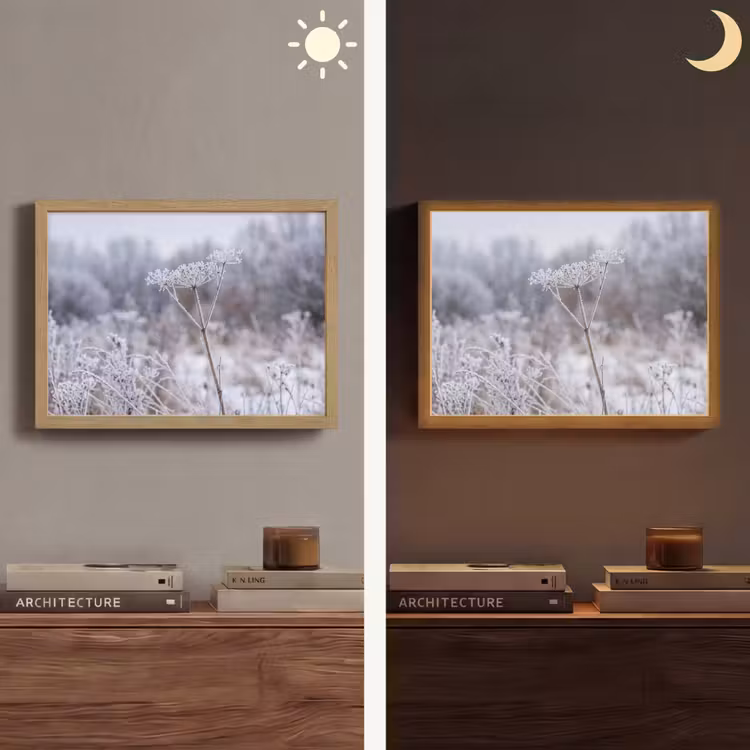 Schermbloem - Rijp - Kristallen - Winter - Delicaat Light Box met batterij (Wandlamp) middel -sfeer3