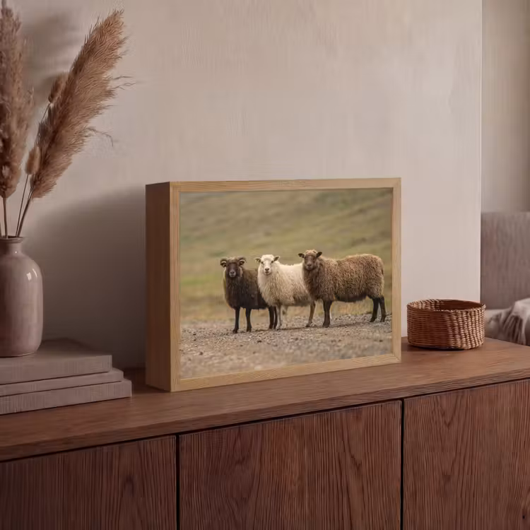 Schapen - Bruin - Wit - Grindpad Light Box met batterij (Wandlamp) middel -sfeer2