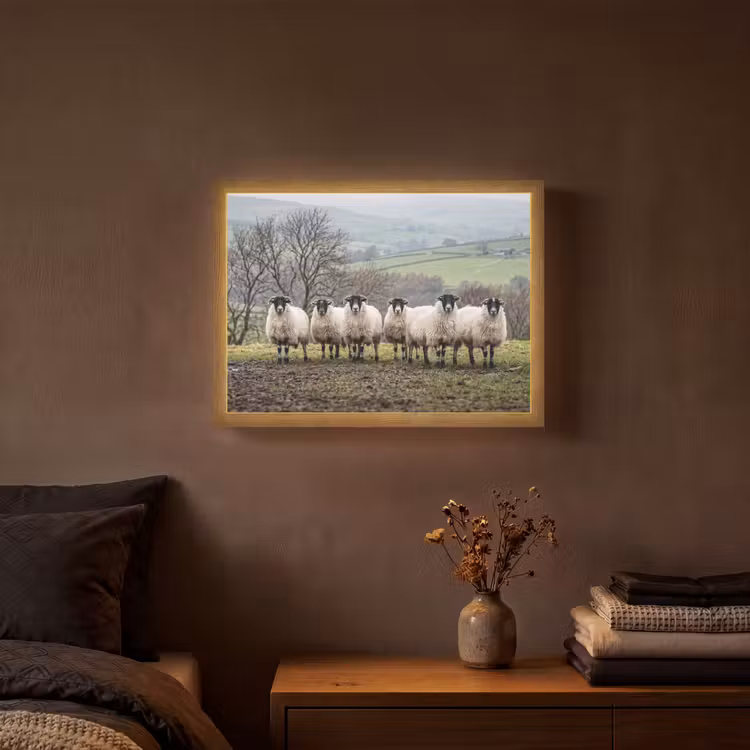 Schapen - Rij - Weide - Dieren - Platteland Light Box met batterij (Wandlamp) middel -sfeer4