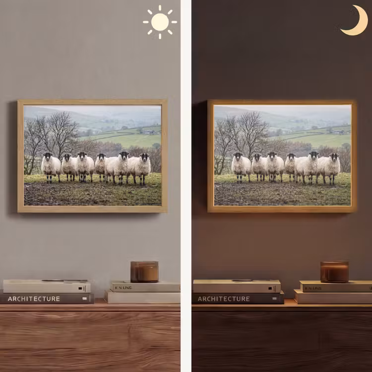 Schapen - Rij - Weide - Dieren - Platteland Light Box met batterij (Wandlamp) middel -sfeer3