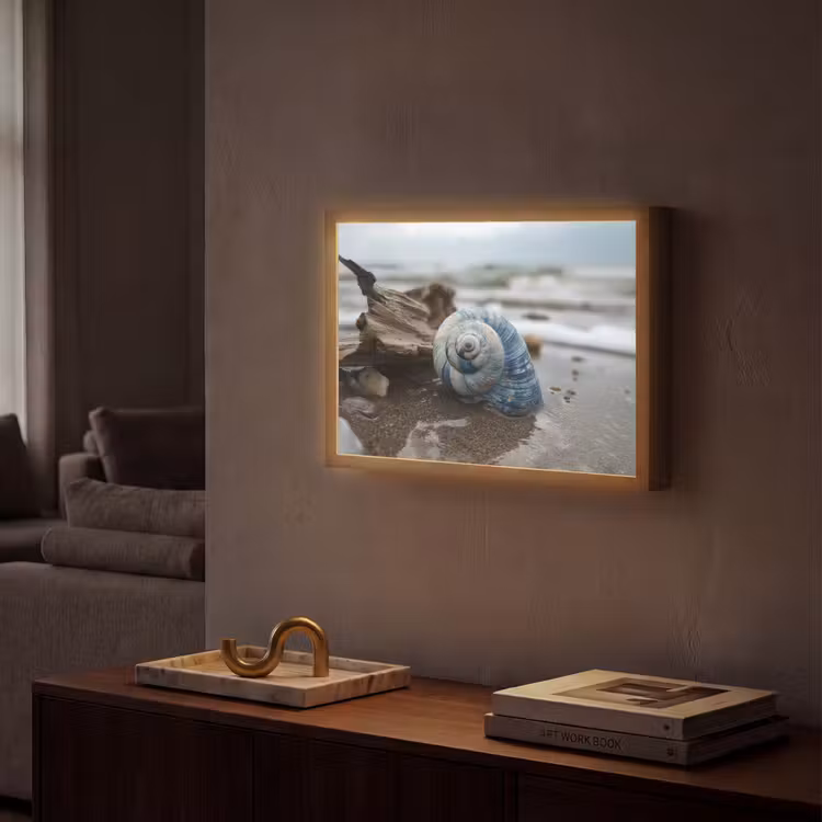 Schelp - Strand - Blauw - Zee Light Box met batterij (Wandlamp) middel -sfeer1