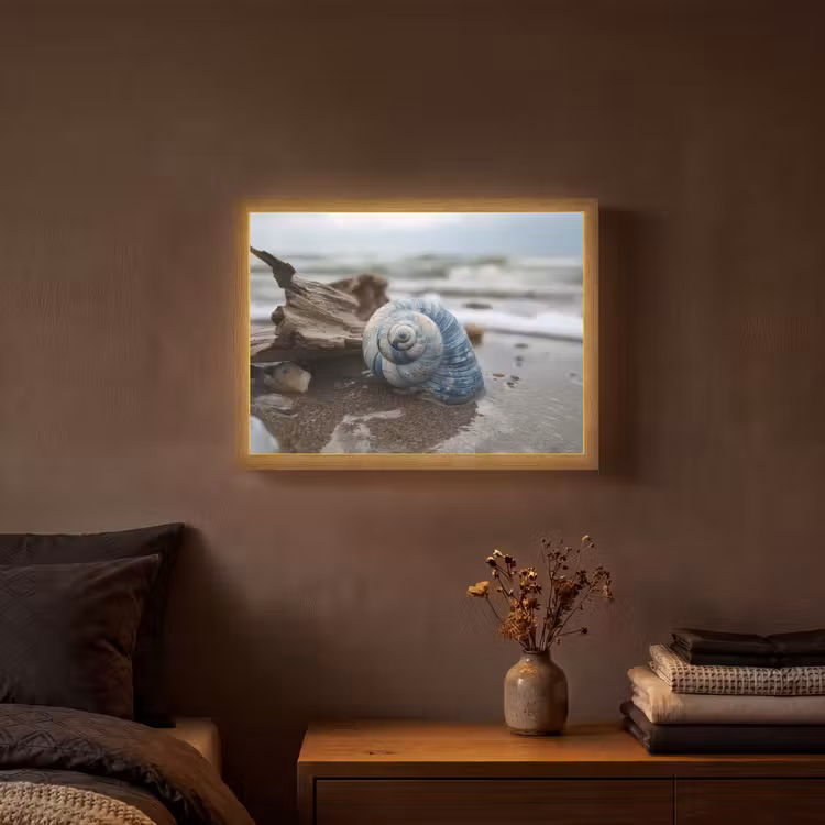Schelp - Strand - Blauw - Zee Light Box met batterij (Wandlamp) middel -sfeer4