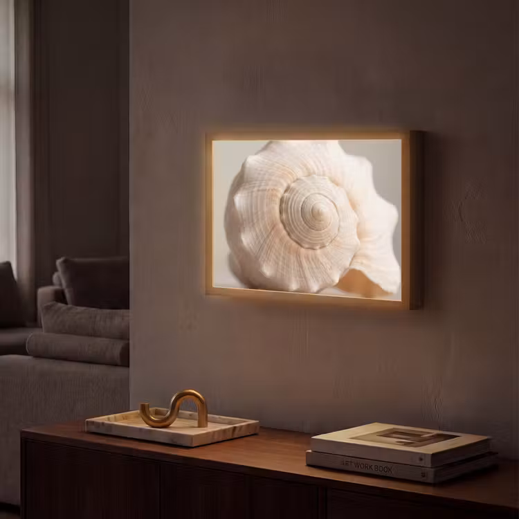 Schelp - Detail - Beige Light Box met batterij (Wandlamp) middel -sfeer1