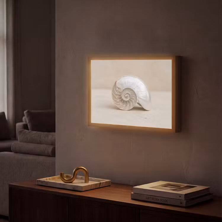 Schelp - Spiraal - Beige Light Box met batterij (Wandlamp) middel -sfeer1