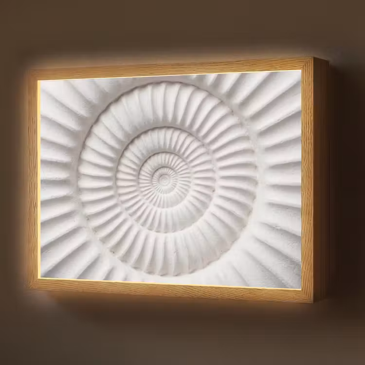 Schelp - Spiraal - Wit Light Box met batterij (Wandlamp) middel -z3d_website
