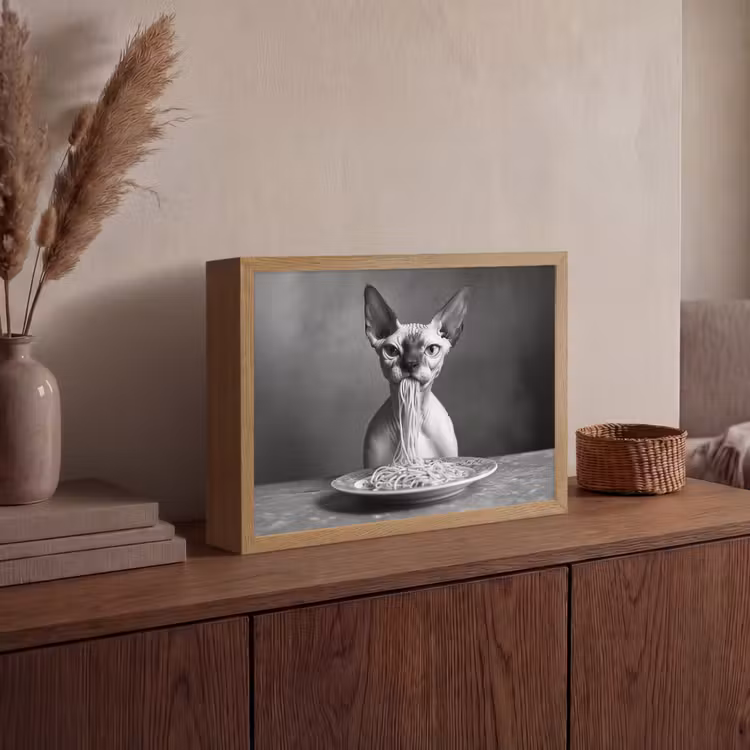 Sphynx - Kat - Dieren - Humor - Spaghetti - Zwart Wit Light Box met batterij (Wandlamp) middel -sfeer2