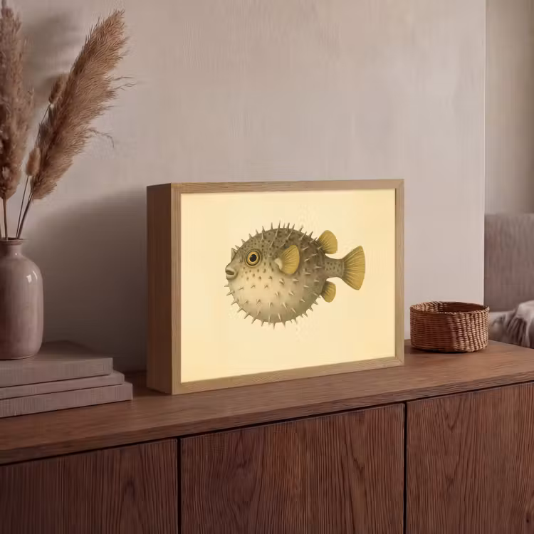Stekels - Vis - Opgeblazen - Bruin Light Box met batterij (Wandlamp) middel -sfeer2