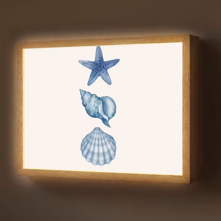 Zeester - Schelpen - Blauw Light Box met batterij (Wandlamp) middel -z3d_website