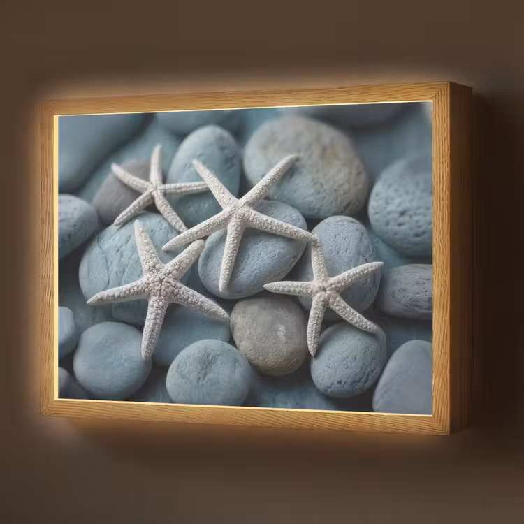 Zeesterren - Stenen - Wit Light Box met batterij (Wandlamp) middel -z3d_website