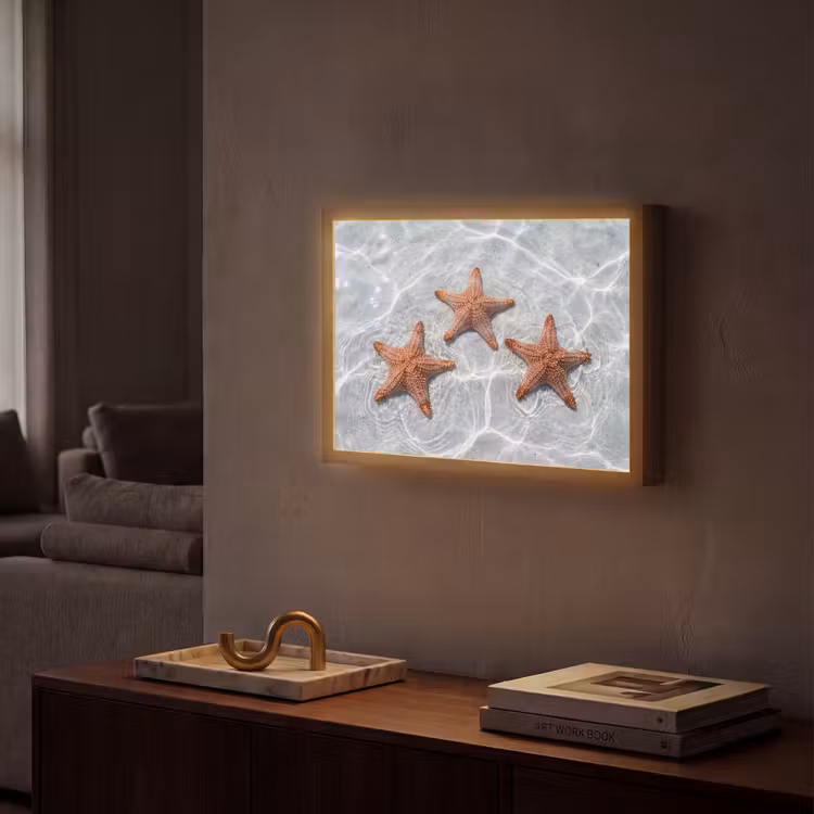 Zeesterren - Water - Helder Light Box met batterij (Wandlamp) middel -sfeer1