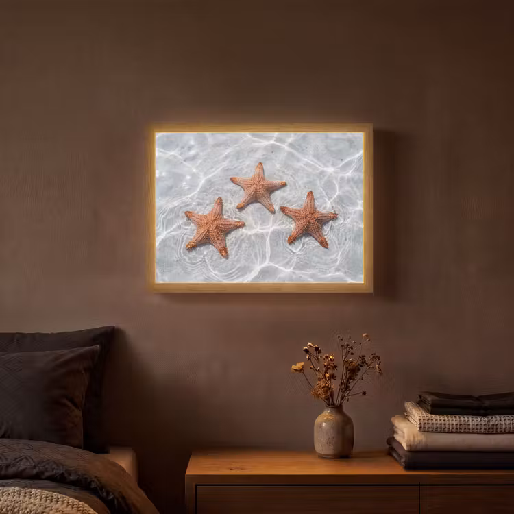 Zeesterren - Water - Helder Light Box met batterij (Wandlamp) middel -sfeer4