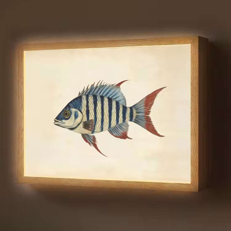 Gestreept - Donkerblauw - Rugvin - Vis Light Box met batterij (Wandlamp) middel -z3d_website