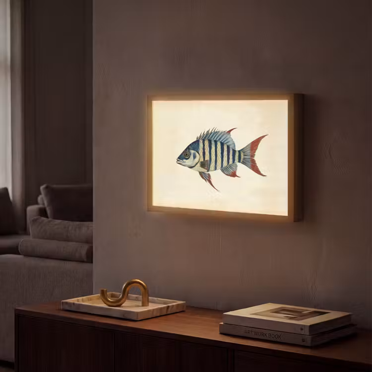 Gestreept - Donkerblauw - Rugvin - Vis Light Box met batterij (Wandlamp) middel -sfeer1