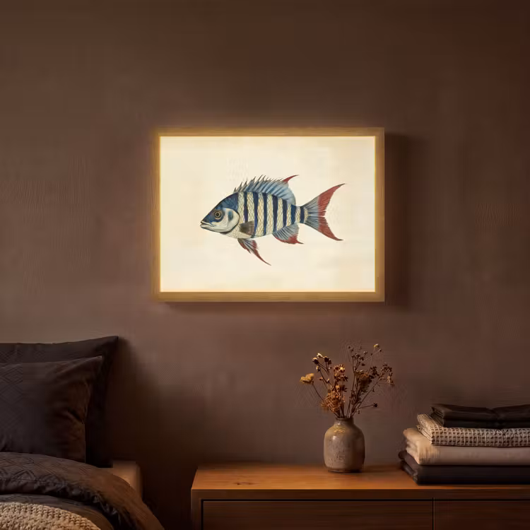 Gestreept - Donkerblauw - Rugvin - Vis Light Box met batterij (Wandlamp) middel -sfeer4