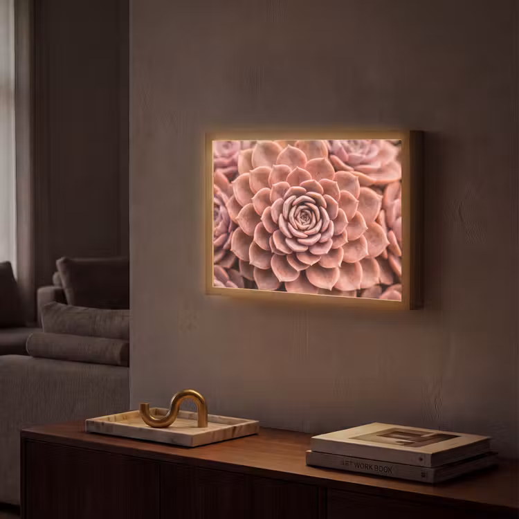 Vetplant - Organisch - Roze Light Box met batterij (Wandlamp) middel -sfeer1
